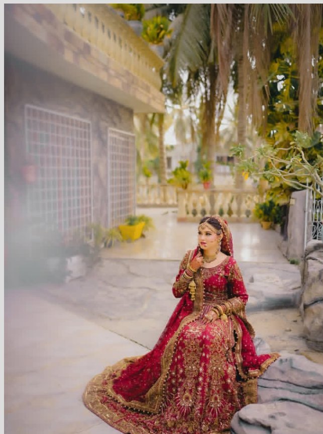 Choli sharara - Image 6