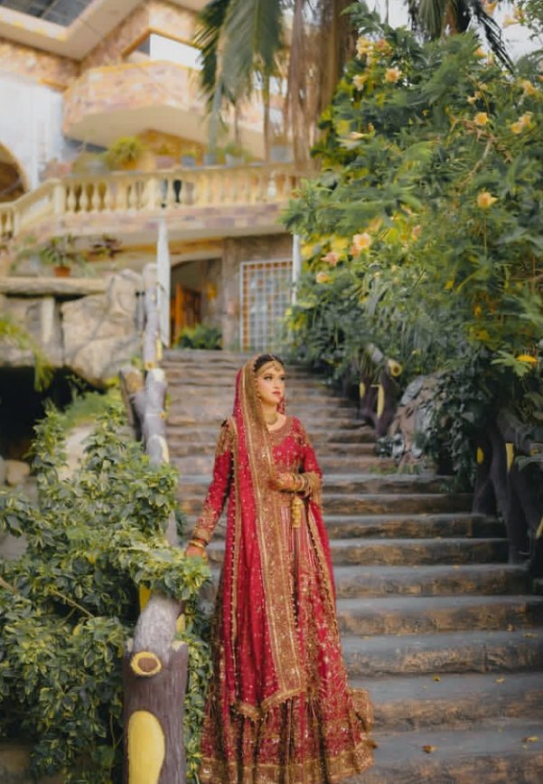 Choli sharara - Image 4